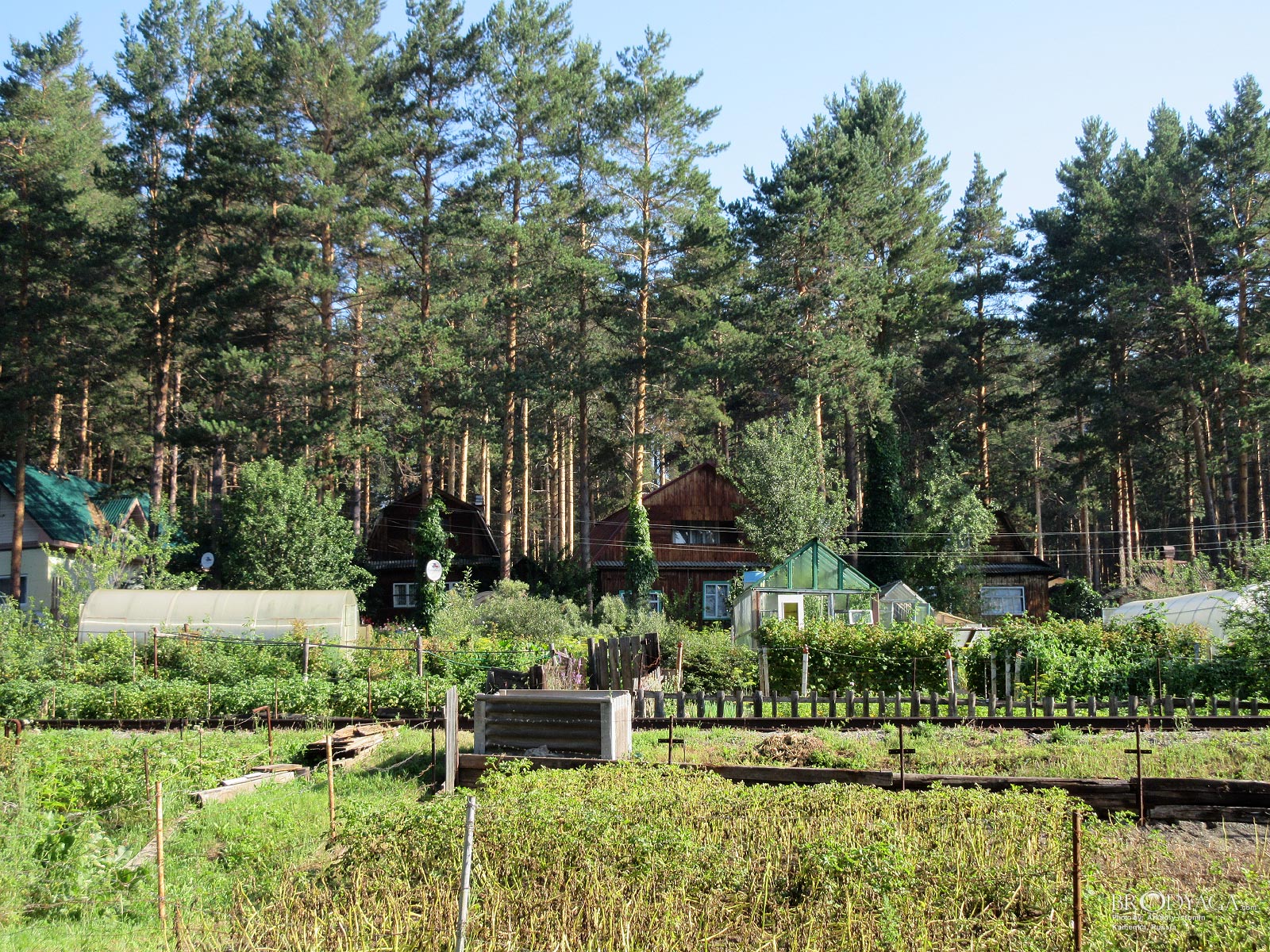 Kamenka (Каменка)